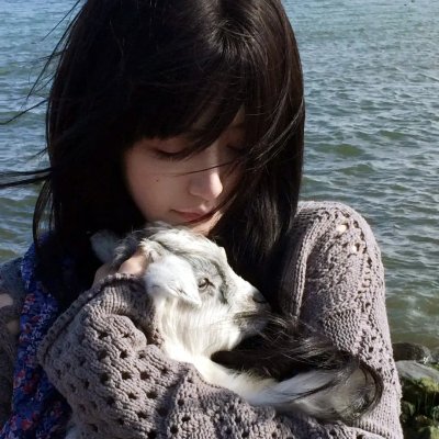 猫无赦